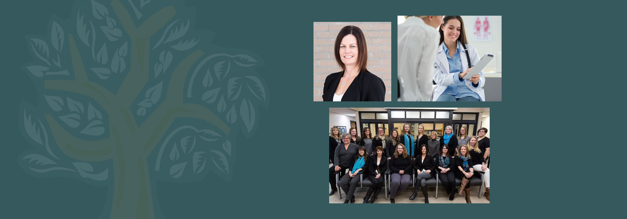 Dryden Area Family Health Team